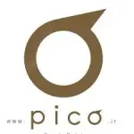 Pico Electric
