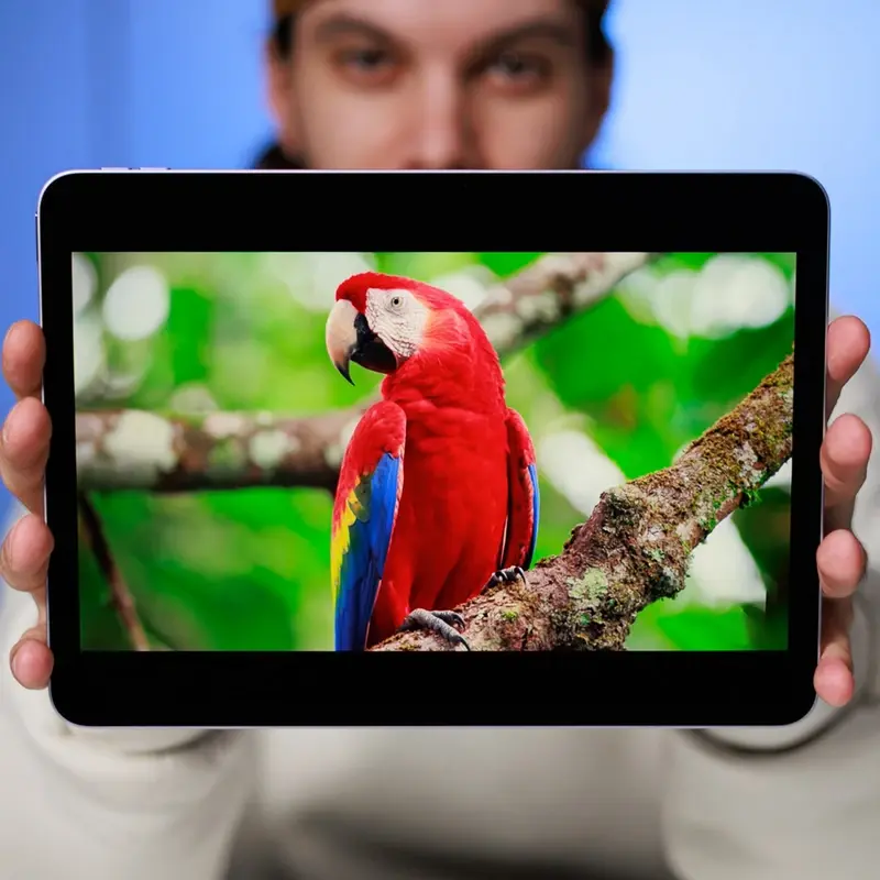 تبلت 13 اینچ اپل مدل iPad Air 13 2025 M3 Wi-Fi ظرفیت 256 گیگابایت و رم 8 گیگابایت، تصویر 24