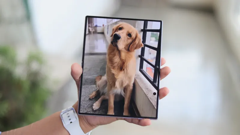 Photos on Galaxy Z Fold 8 foldable display