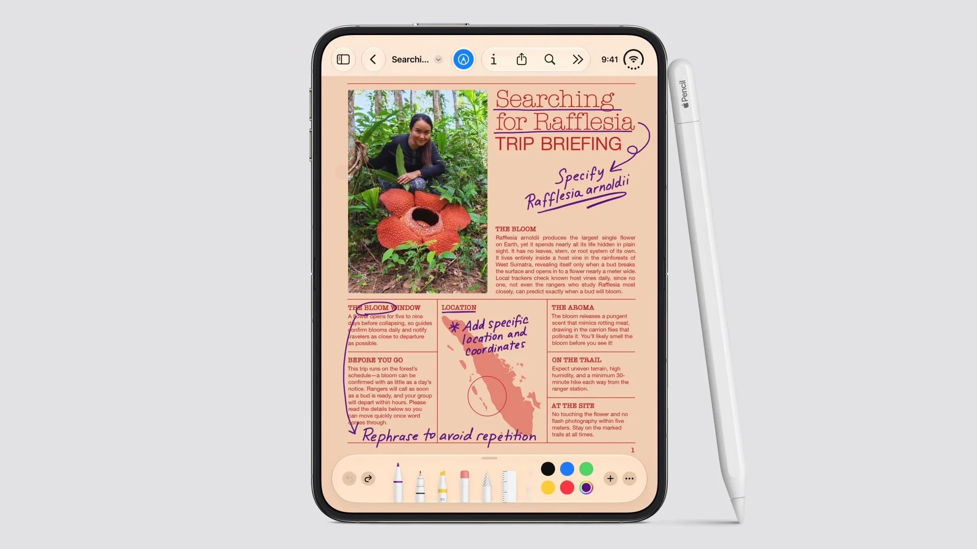 Apple iPhone Duo Apple Pencil