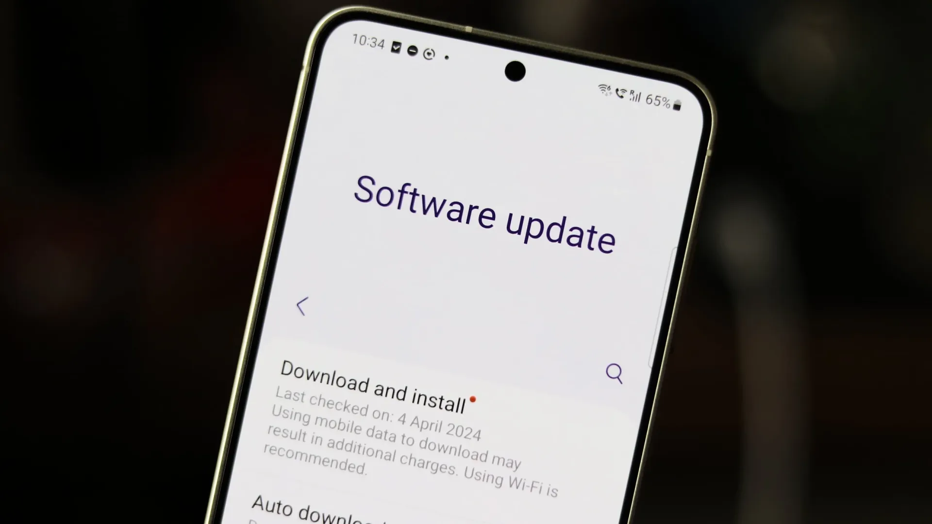 Samsung Galaxy S24 Software Update Screen