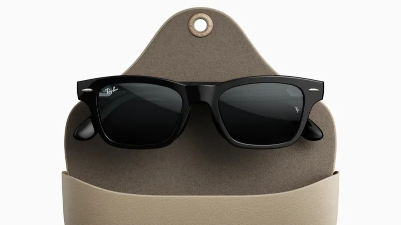 Ray-Ban Meta Audio Charging Case